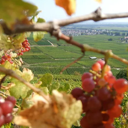 Les Lilas 3* Ammerschwihr